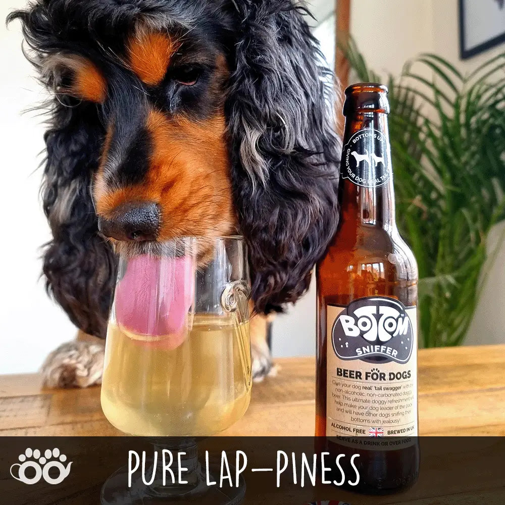 Bière pour chien