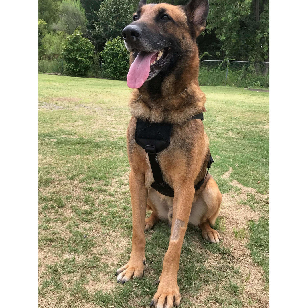 Harnais WHISPER ultra light tactical - Recon K9