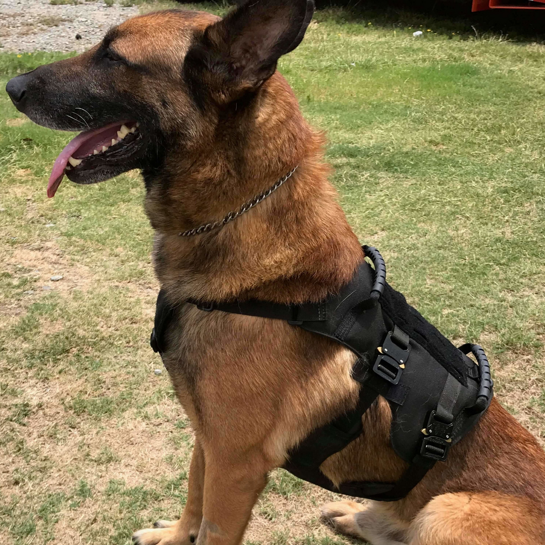 Harnais WHISPER ultra light tactical - Recon K9