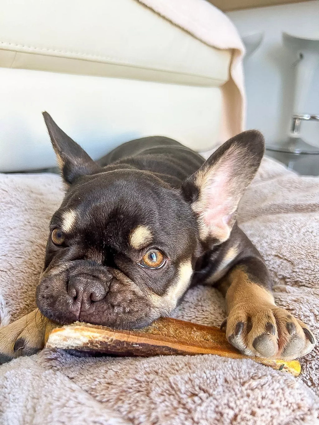 Bois de cerf tranché fumé - saveur jambon