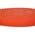 Frisbee comète