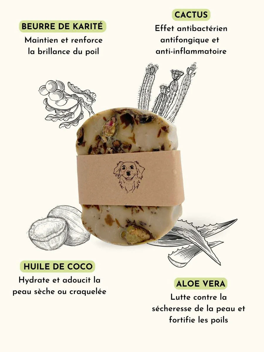 Shampoing pour peau sensible