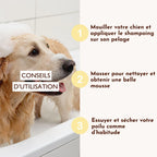 Le miraculeux
