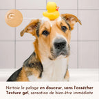Poils de velours