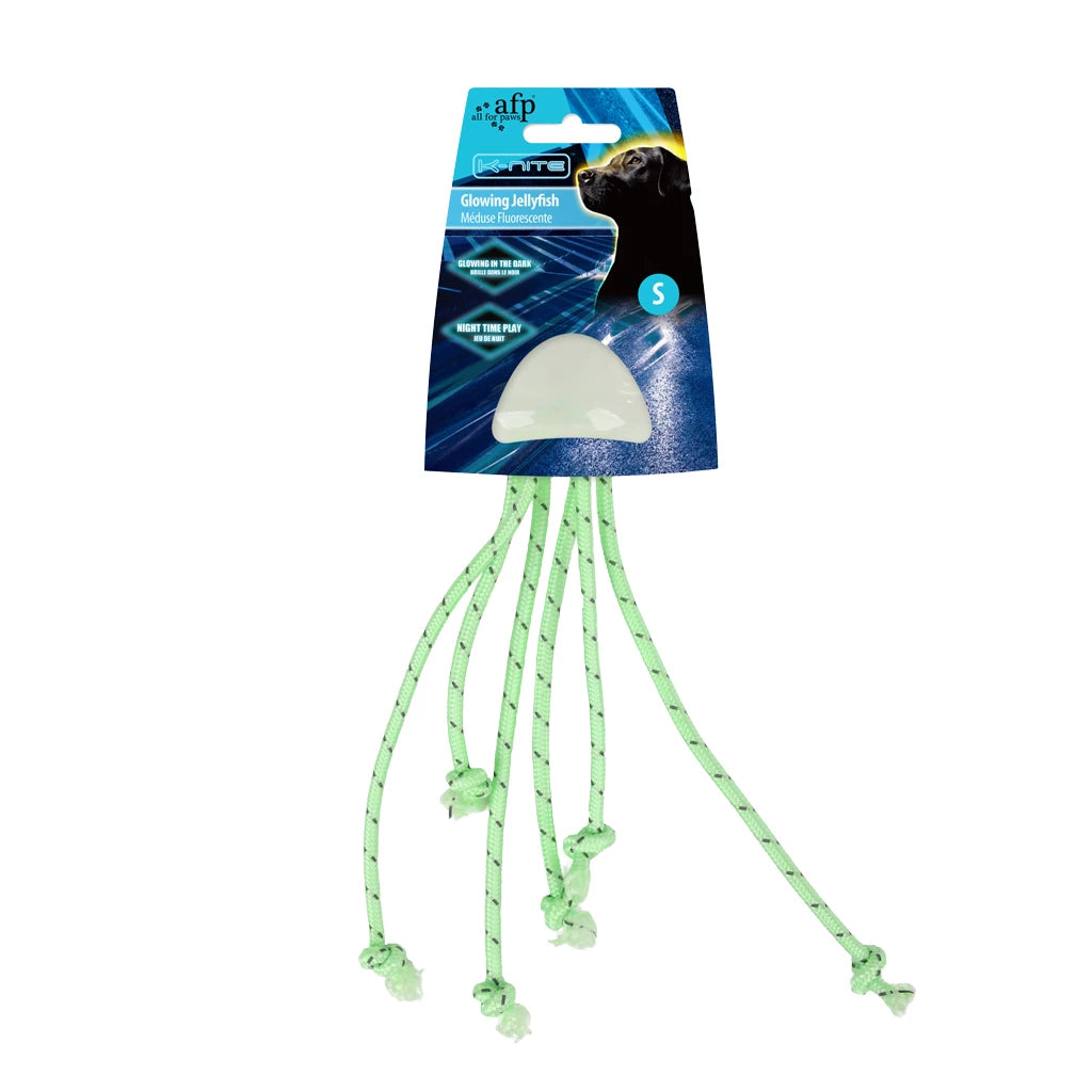 Méduse lumineuse