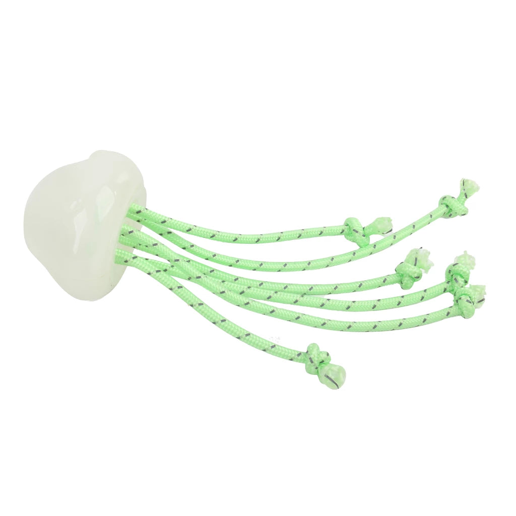Méduse lumineuse