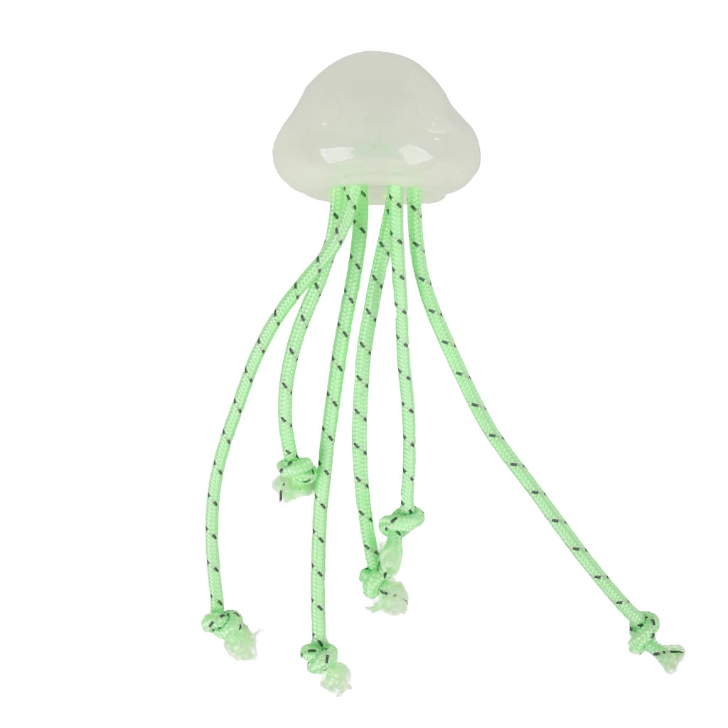 Méduse lumineuse