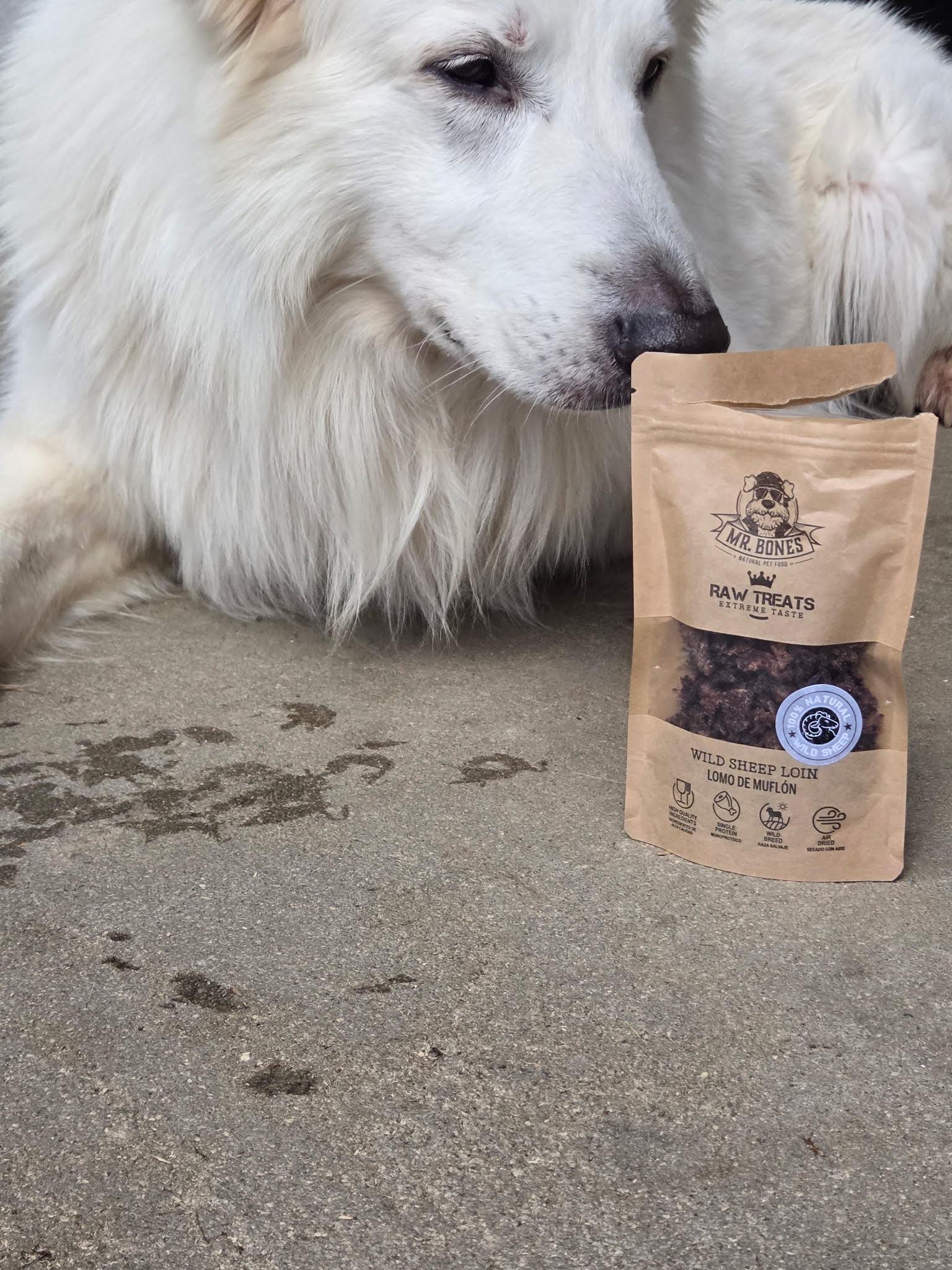 Raw Treats – Mouflon sauvage naturel