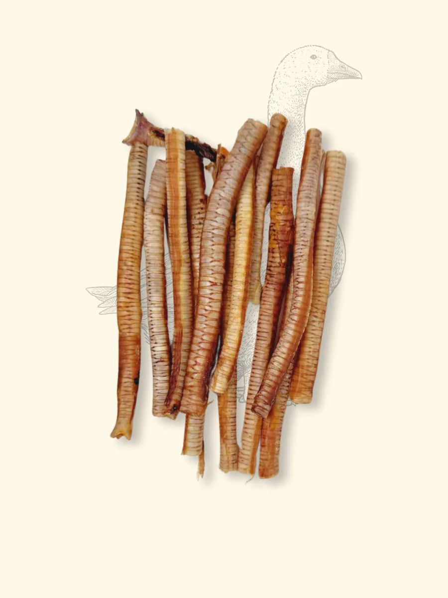 Trachées d'oies