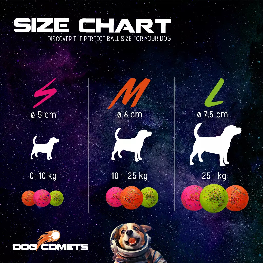 Dog Comets Stardust Orange