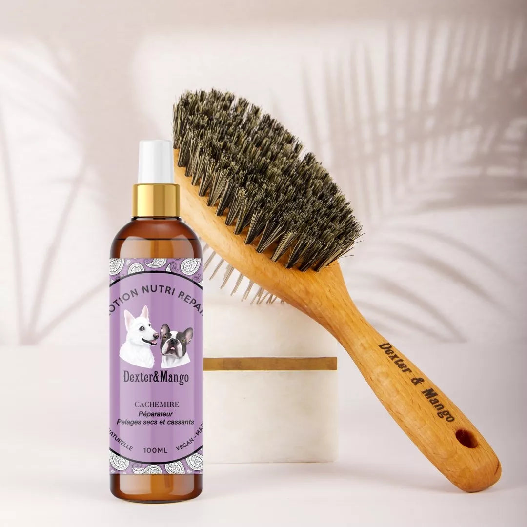 Lotion Nutri repair Cachemire