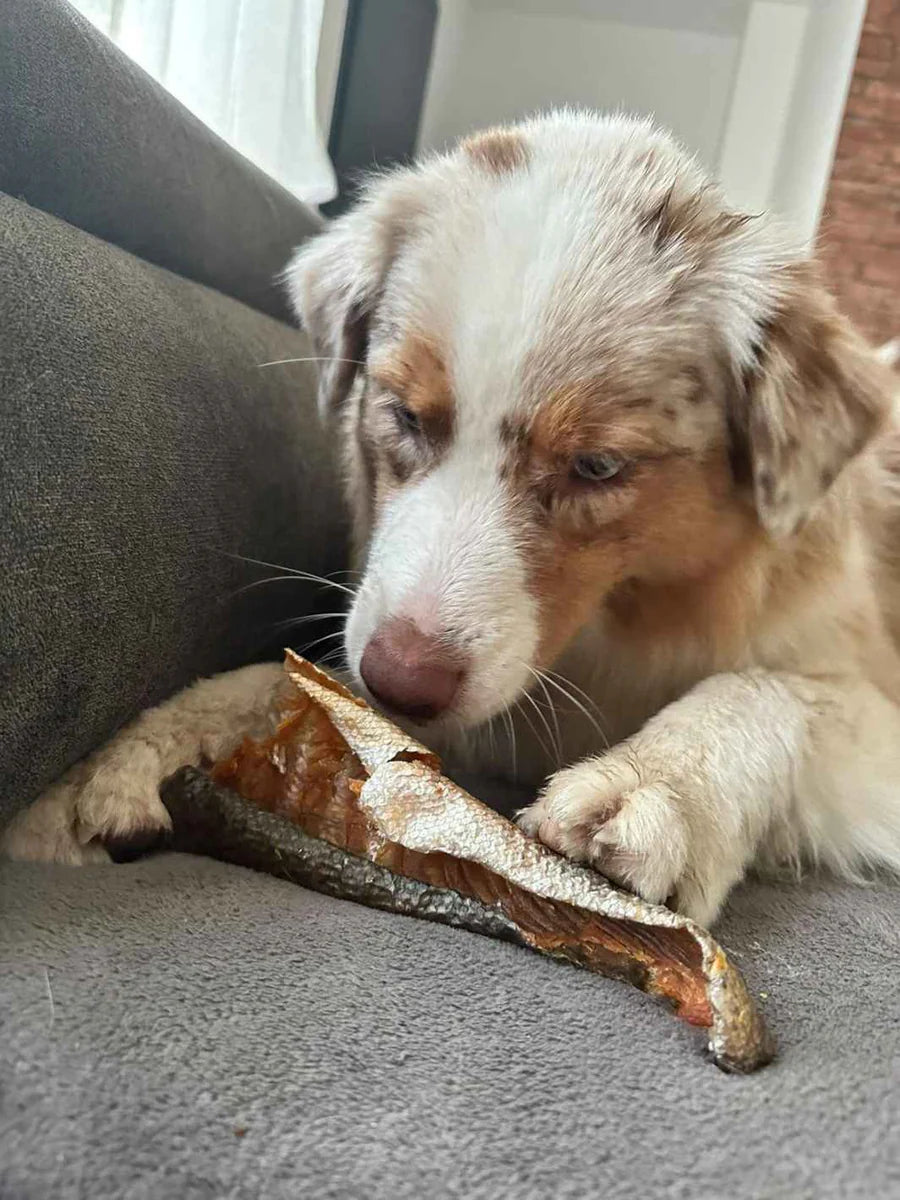 Peau de saumon à la chair fondante