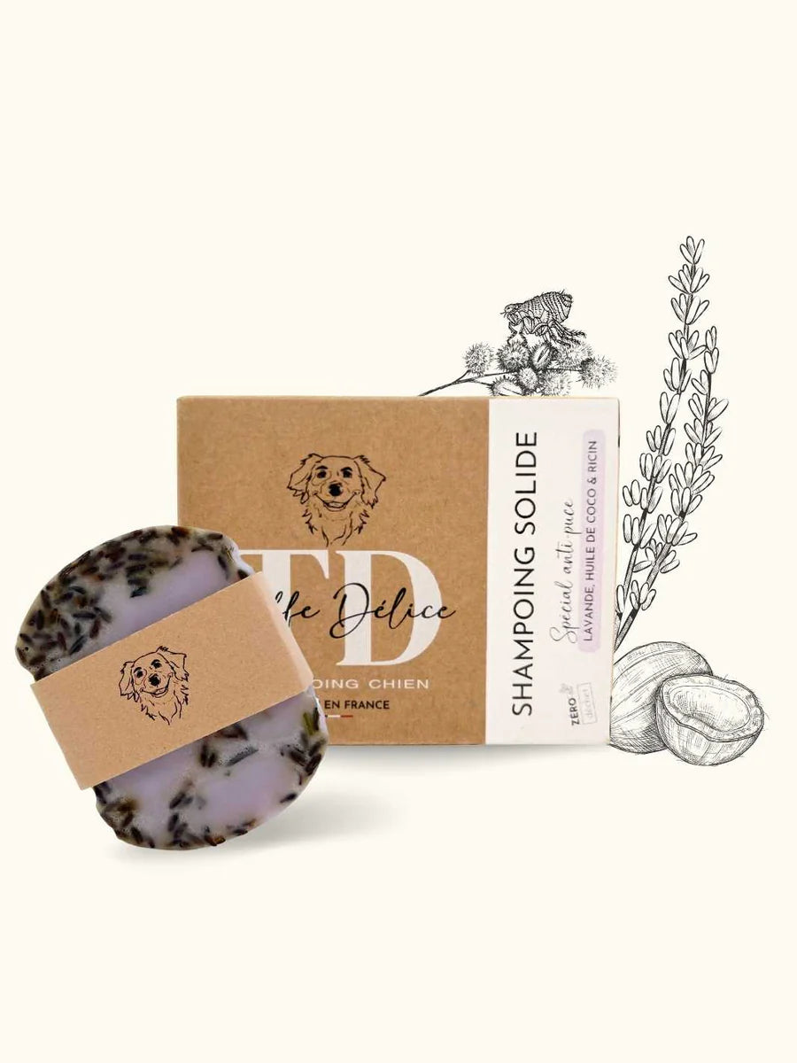 Shampoing solide anti puce