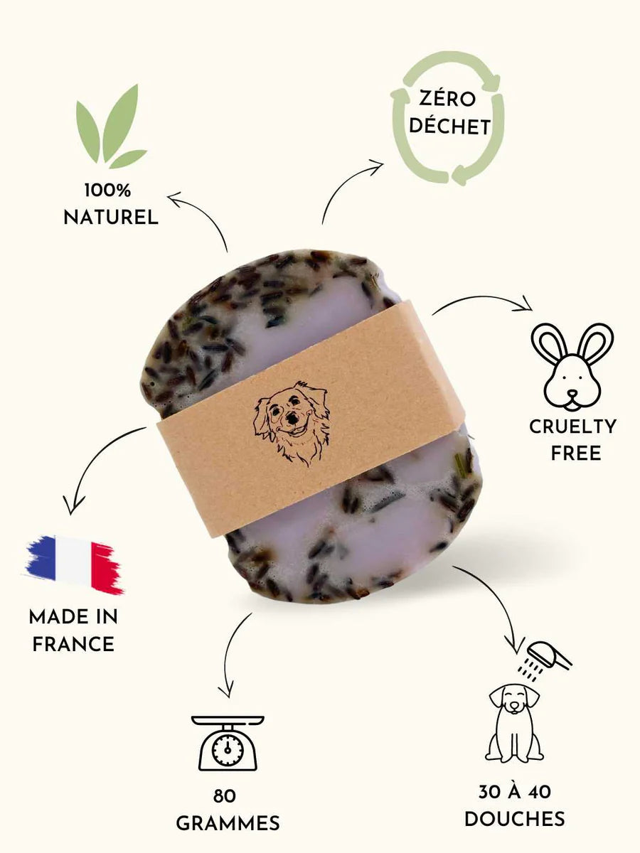 Shampoing solide anti puce