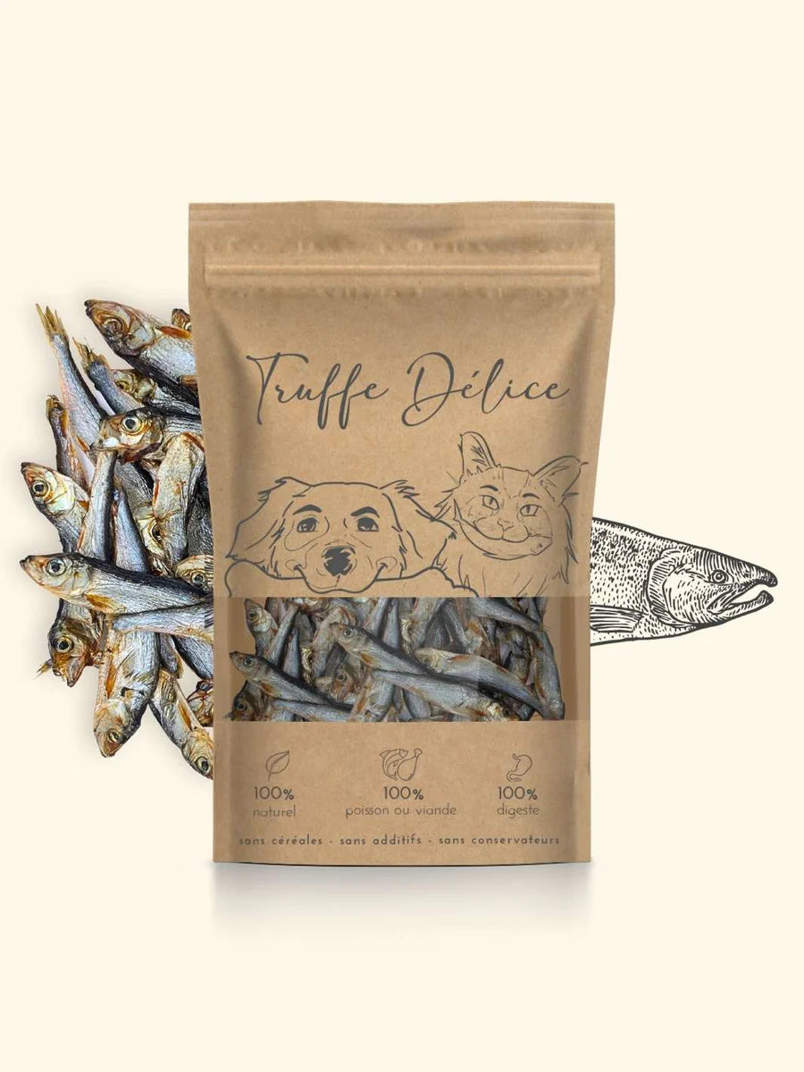 Sprats ( maxi ) séchés