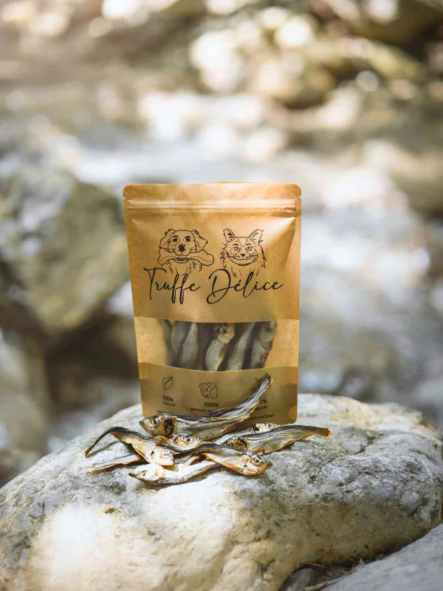 Sprats ( maxi ) séchés