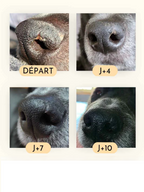 Baume truffe soyeuse