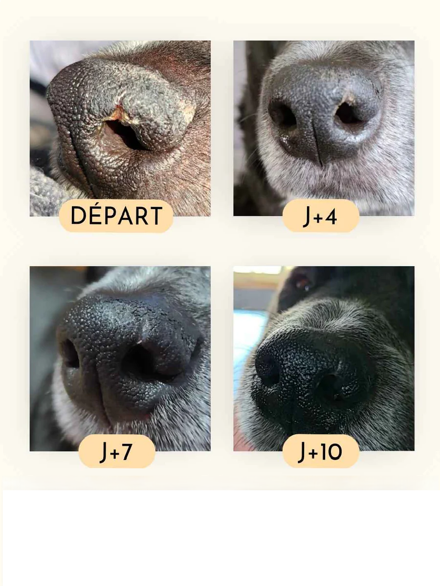 Baume truffe soyeuse