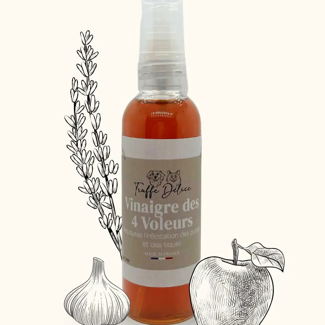 Vinaigre des 4 voleurs